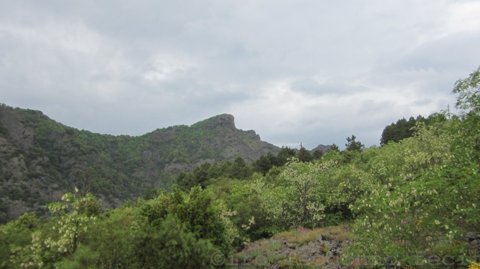 Punta Nasone dalla Provinciale