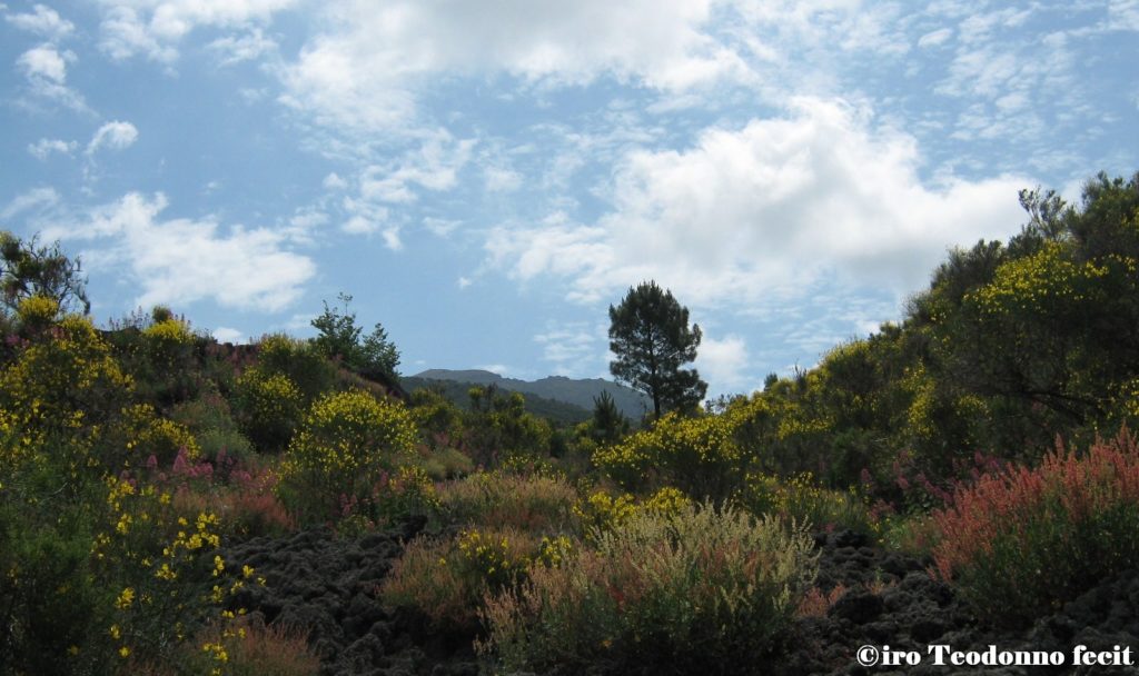 Il Vesuvio che spicca tra le lave.