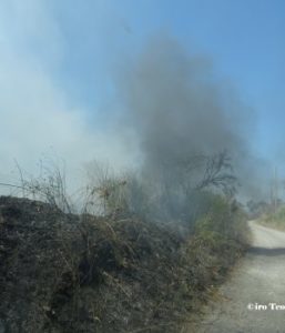 incendio cava fiengo